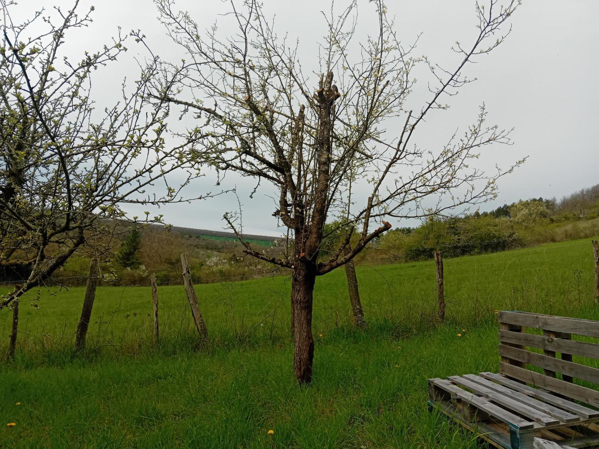 Campingfiz Varzy Zewnętrze zdjęcie